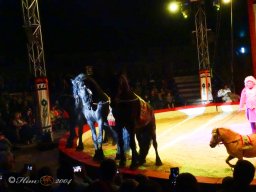  Circus YAKARI am 27.09.2024